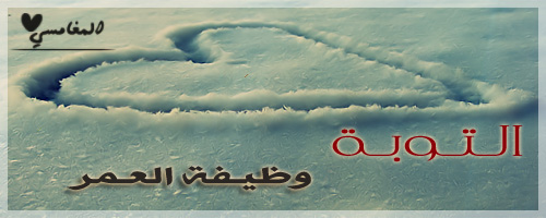 ... bntpal_1422554983_19