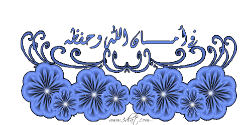  bntpal_1422611347_33