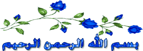  bntpal_1422611661_94