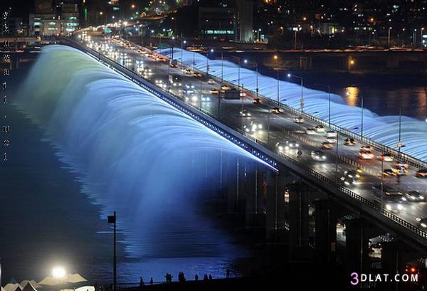  bntpal_1422612082_13