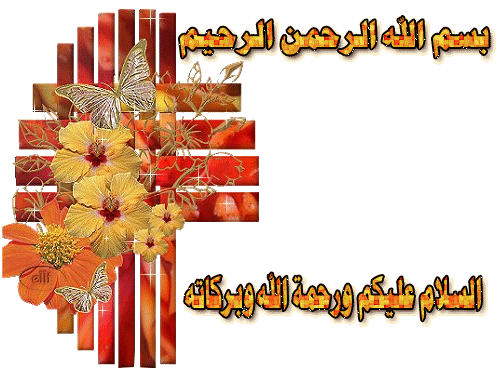 bntpal_1422612163_73