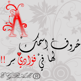 bntpal_1422691949_17