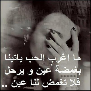 bntpal_1422695369_56