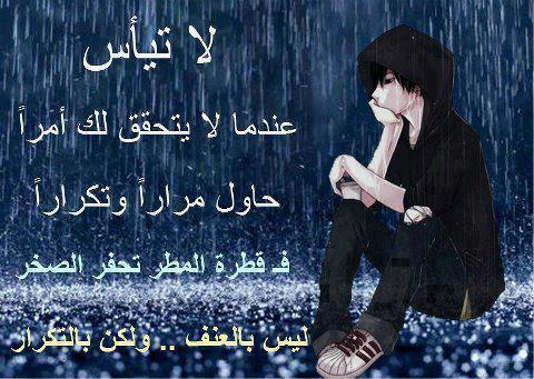 bntpal_1422695371_17
