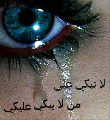 bntpal_1422695374_32
