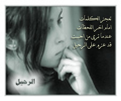 bntpal_1422695375_99