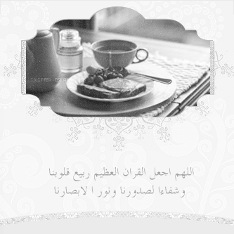 bntpal_1422753401_24