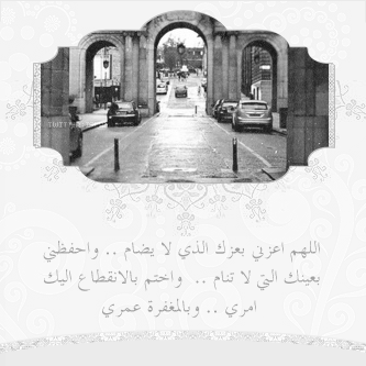 bntpal_1422753407_15