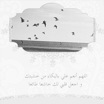 bntpal_1422753409_90