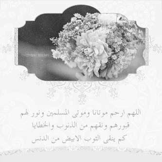 bntpal_1422753413_34