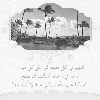 bntpal_1422753414_41