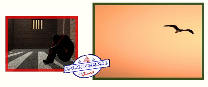 bntpal_1422874910_16