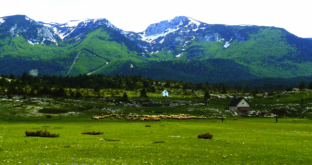 Bosnia Herzegovina bntpal_1422878532_41