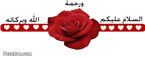   bntpal_1422883568_38