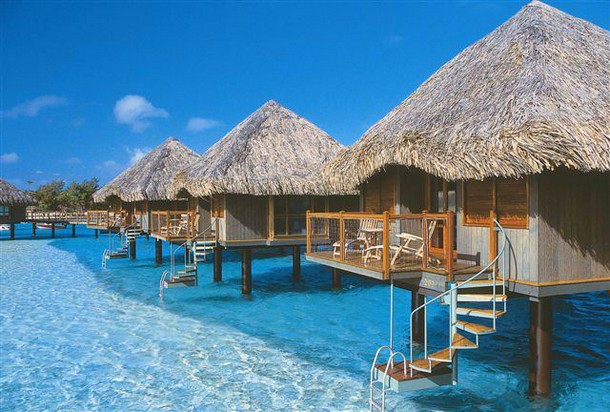  bntpal_1422910560_40