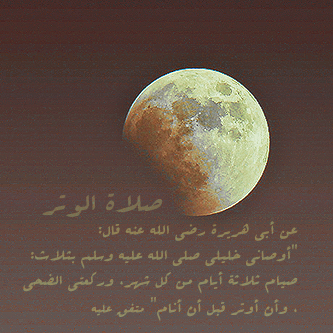 [] --> bntpal_1422933803_30