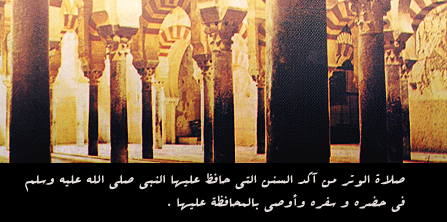 [] --> bntpal_1422933807_72