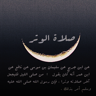 [] --> bntpal_1422933808_13