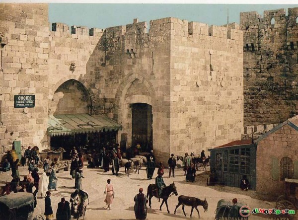 1950 bntpal_1423045681_73