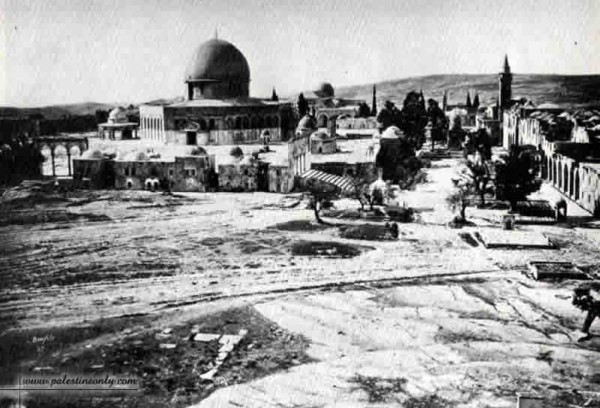 1950 bntpal_1423045683_76