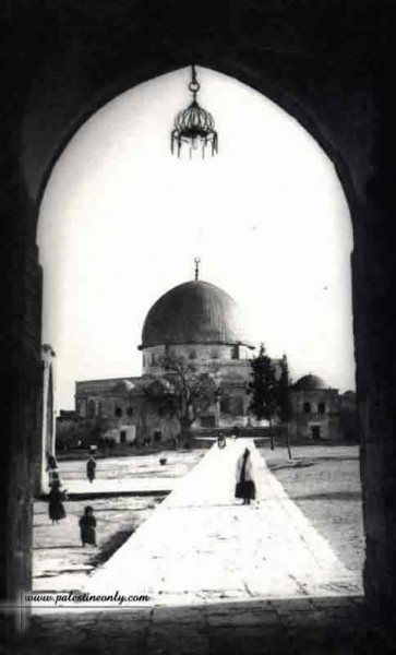 1950 bntpal_1423045684_49