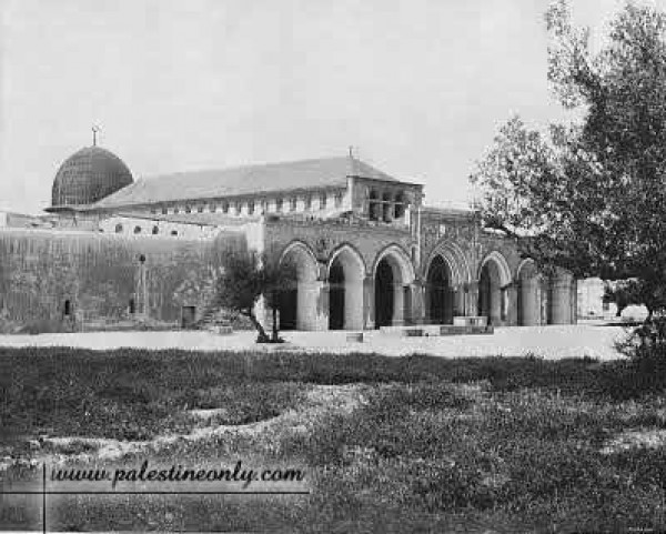1950 bntpal_1423045685_60
