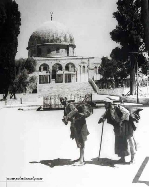 1950 bntpal_1423045687_54