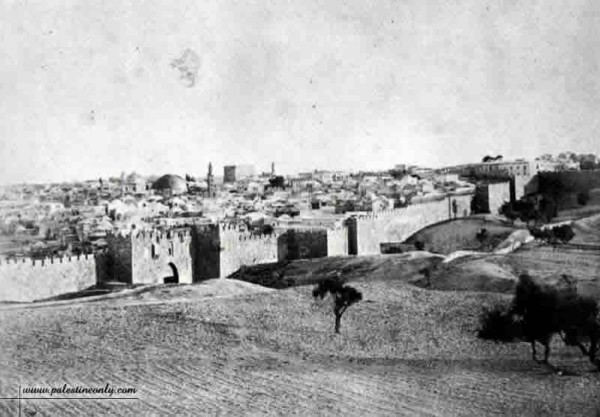 1950 bntpal_1423045687_98