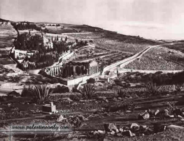 1950 bntpal_1423045689_38