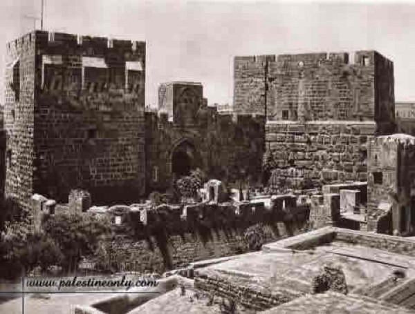 1950 bntpal_1423045689_98