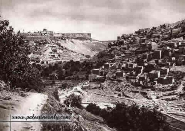 1950 bntpal_1423045692_16
