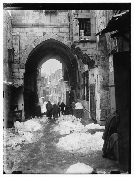 1950 bntpal_1423045693_62
