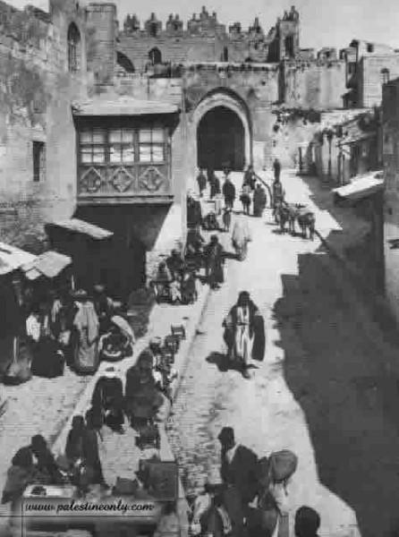 1950 bntpal_1423045695_14