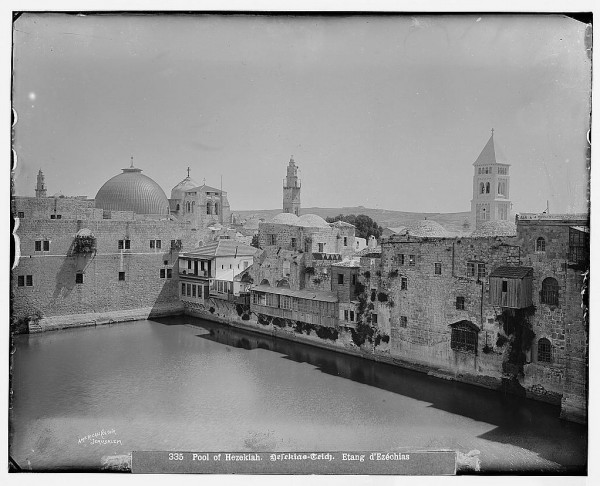 1950 bntpal_1423045695_35