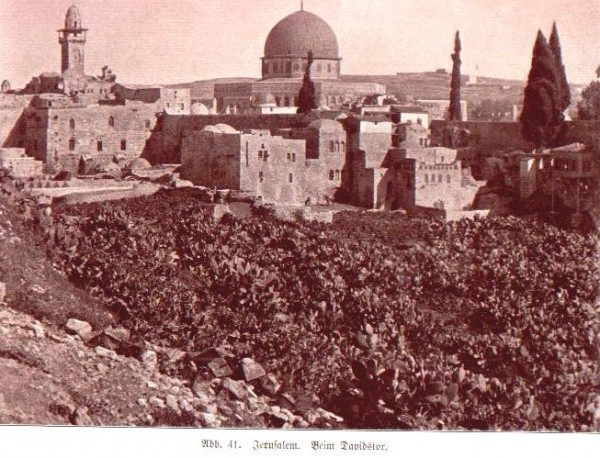 1950 bntpal_1423045696_55