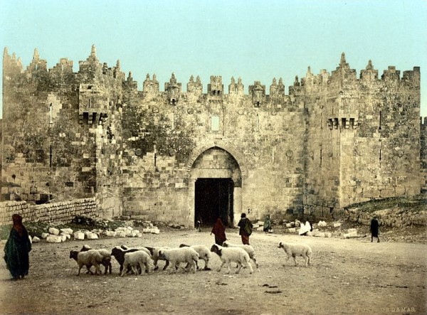 1950 bntpal_1423045698_61
