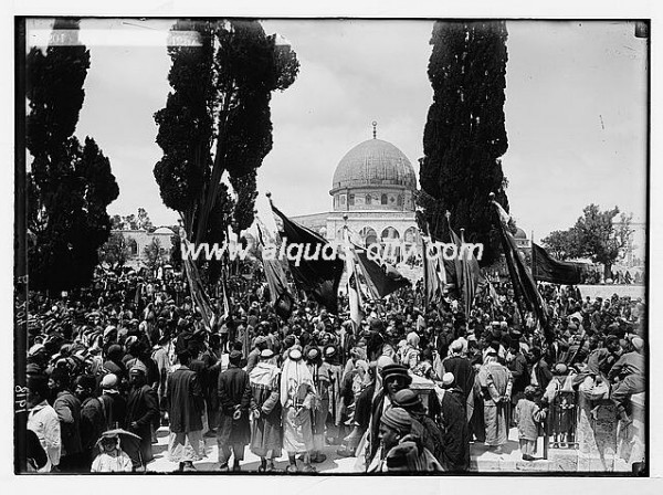 1950 bntpal_1423045702_17