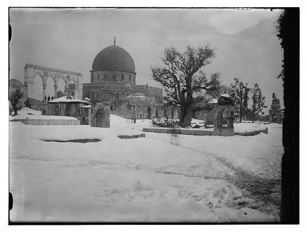 1950 bntpal_1423045709_93