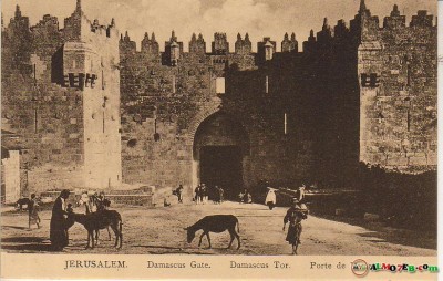 1950 bntpal_1423045712_65