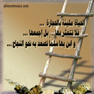 bntpal_1423093711_53