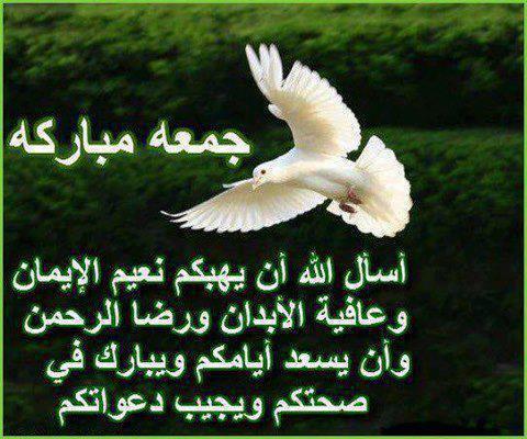 bntpal_1423208075_33
