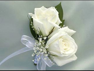 bntpal_1423232196_61