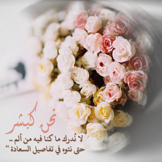 2015 2016 bntpal_1423251605_24