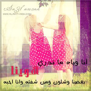 2015 2016 bntpal_1423251610_98