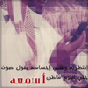 2015 2016 bntpal_1423251611_33