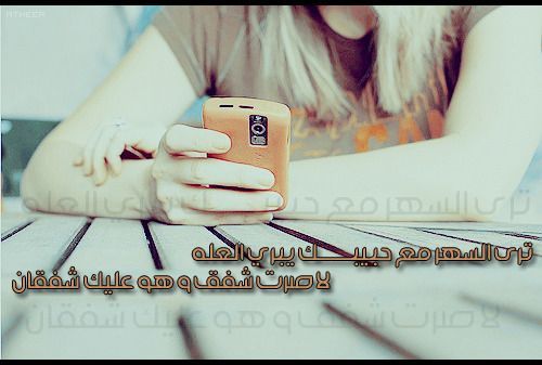 2015 2016 bntpal_1423251612_29