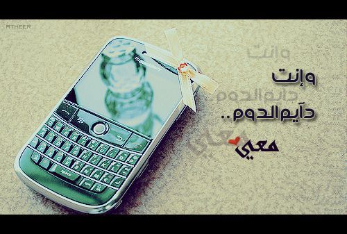 2015 2016 bntpal_1423251613_69