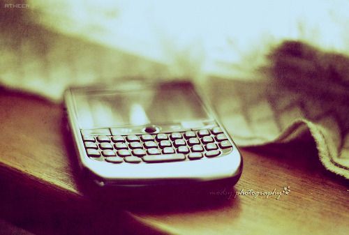 2015 2016 bntpal_1423251614_51