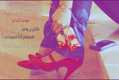 2015 2016 bntpal_1423251615_99
