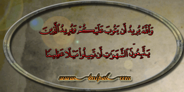 bntpal_1423304145_46